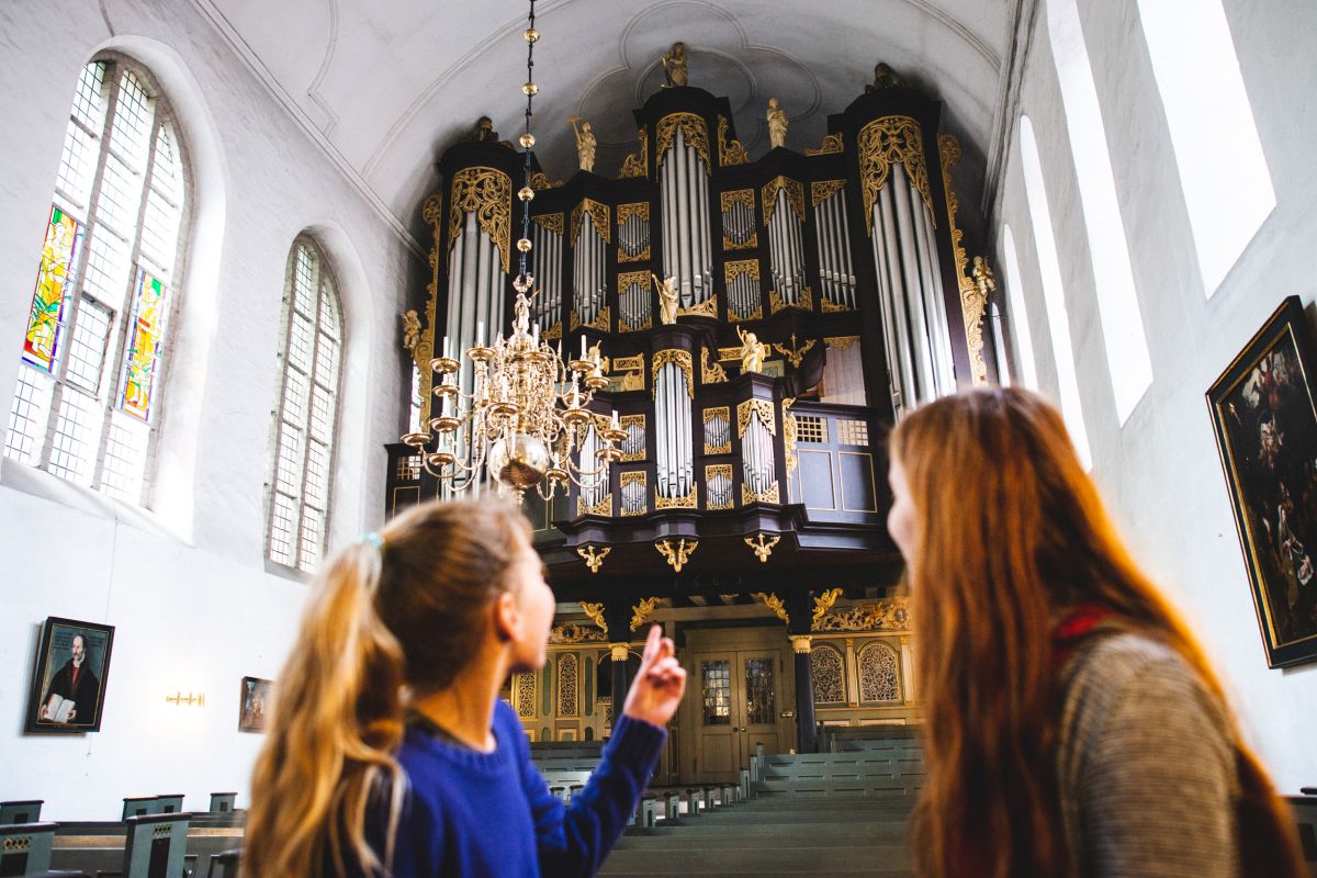 Orgelentdecker / Foto: Anna-Kristina Bauer